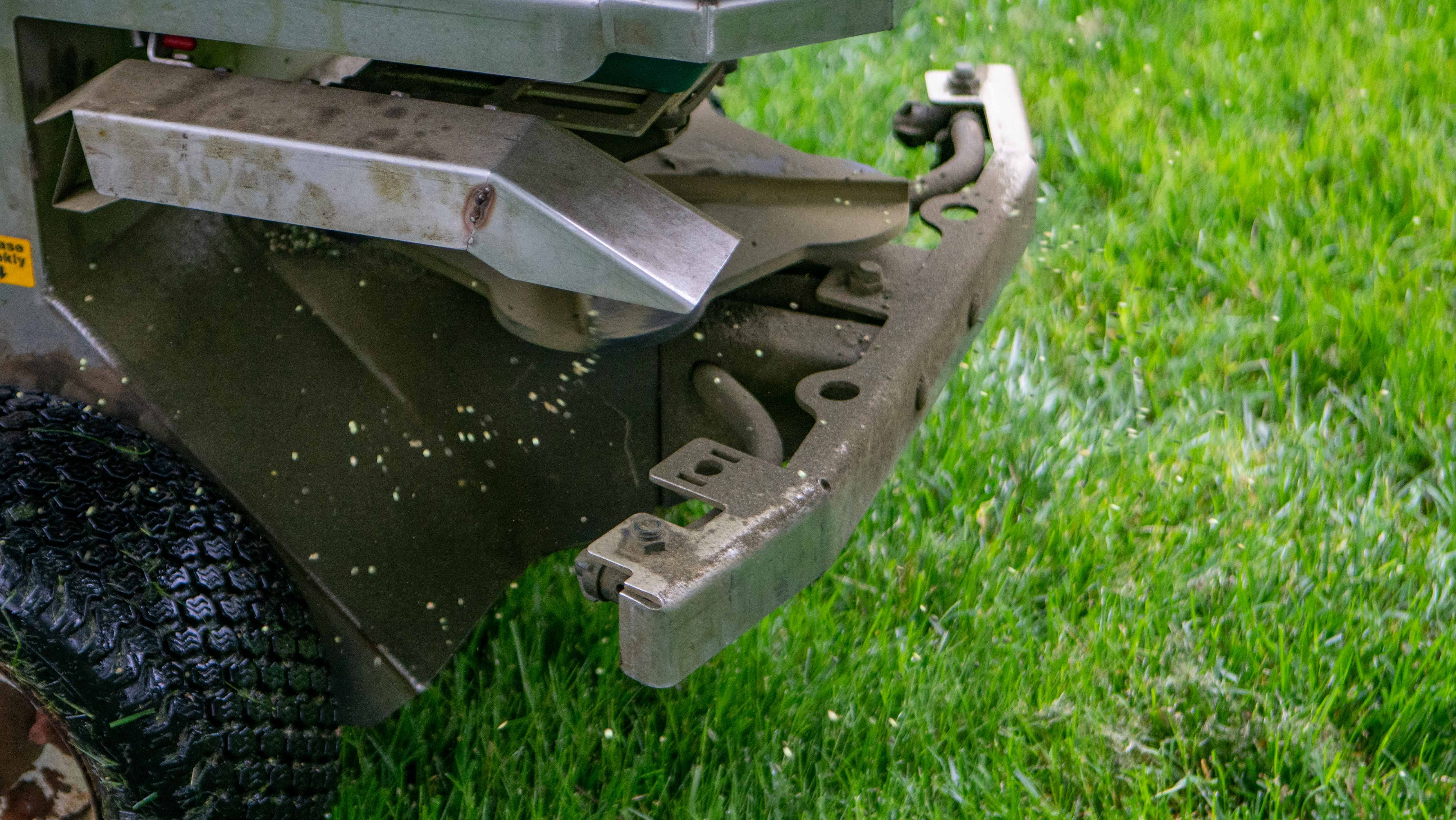 Should I Seed My Lawn Every Fall?